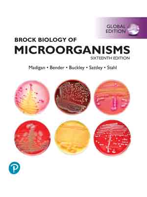 MICROORGANISMS-2102978035Hc