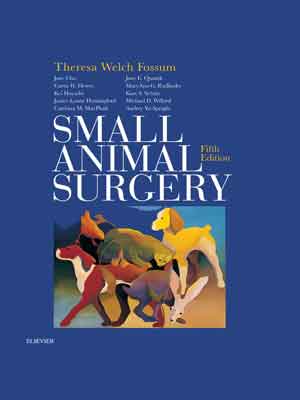 Small-Animal-Surgery-1